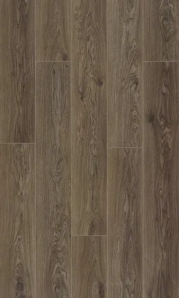 Poppy Oak 加州棕橡 