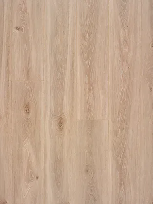 Bloom Natural 春暖原橡 