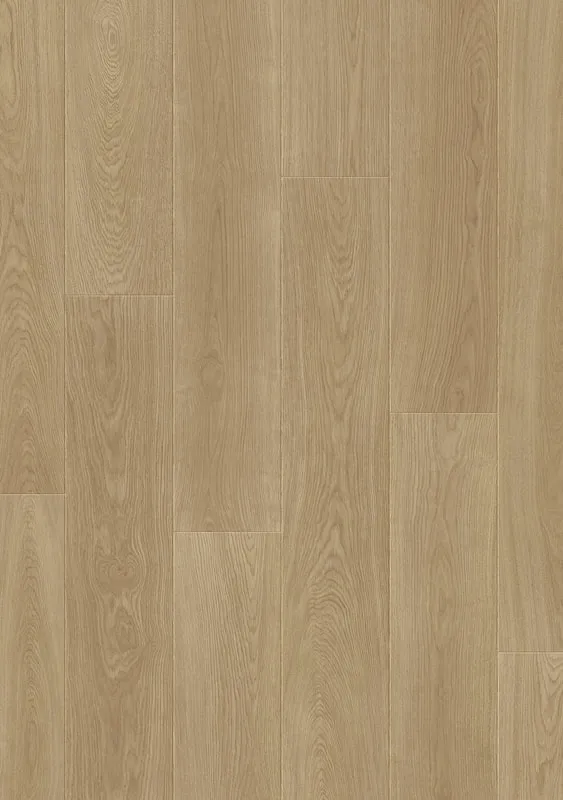 861108 Wynn Oak 韋恩橡木