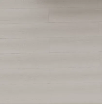 拉斐爾系列-鹿特丹