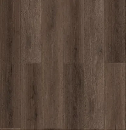 達文西系列-漢堡