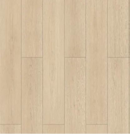 達文西系列-慕尼黑