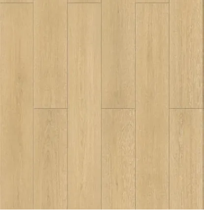 達文西系列-紐倫堡