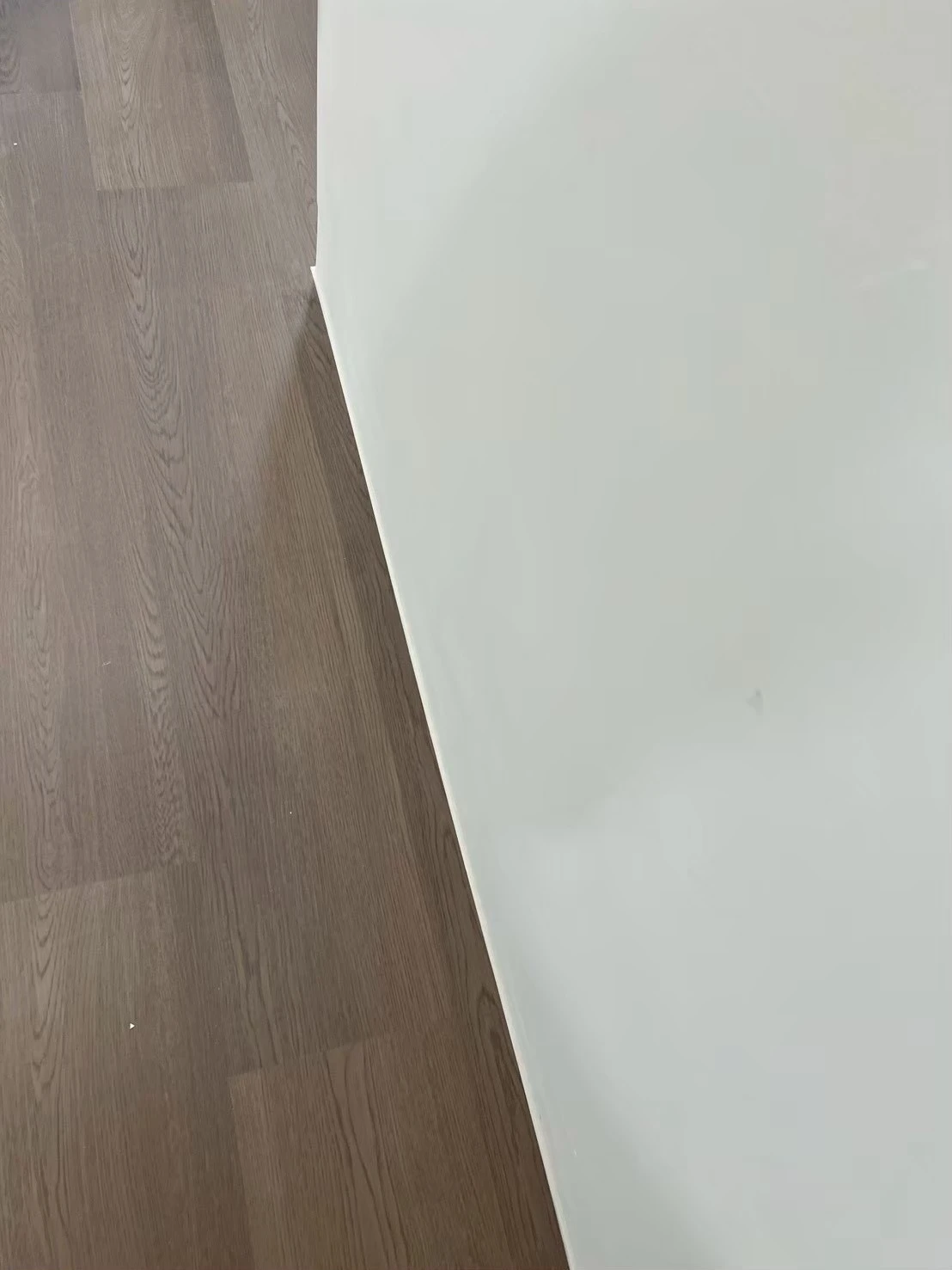 台中清水陳先生，愛麗絲6.5mm波爾多