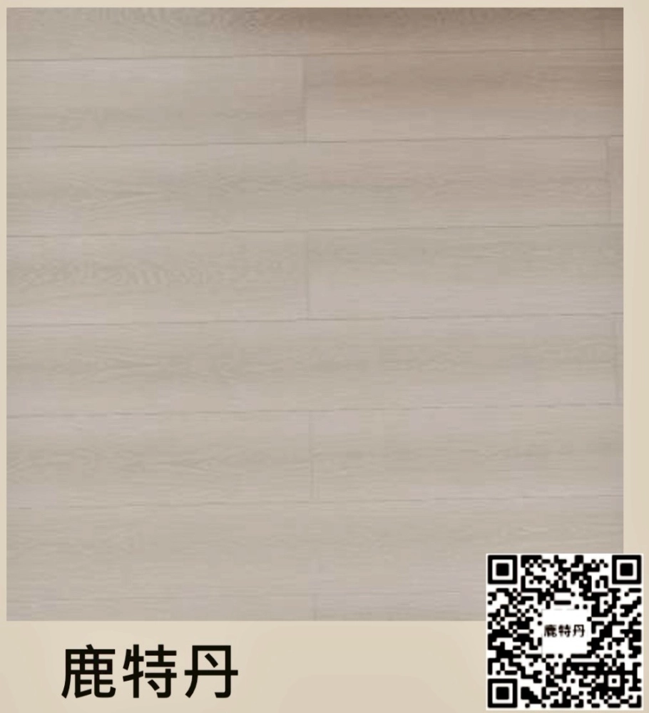 拉斐爾系列-鹿特丹