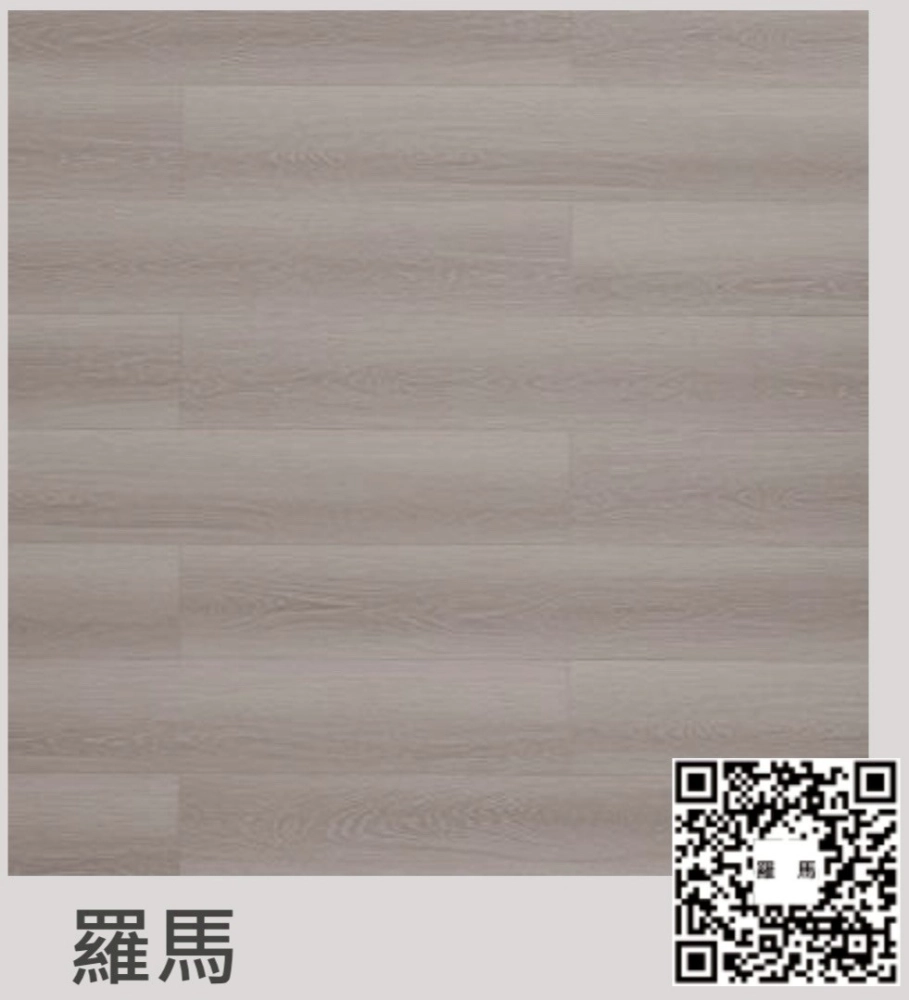 拉斐爾系列-羅馬