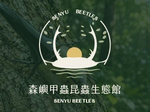 最新消息-網站架設中，敬請期待。