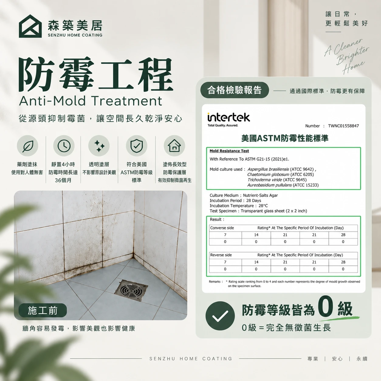 防黴介紹
