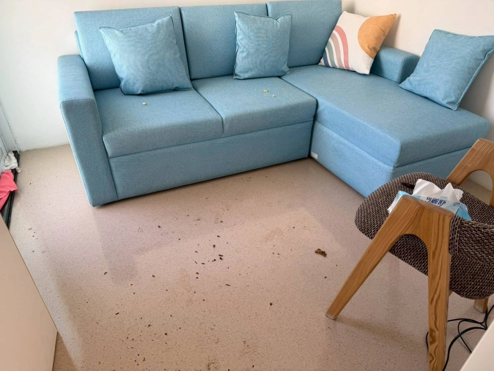 理新理心再出發