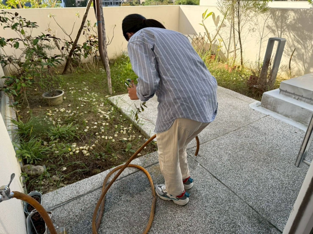 理新理心再出發