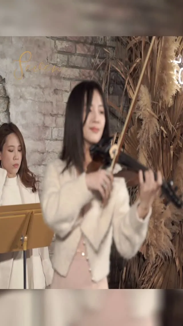 在弦與弓之間，古典樂的靈魂再次甦醒-尾牙表演/台中尾牙表演