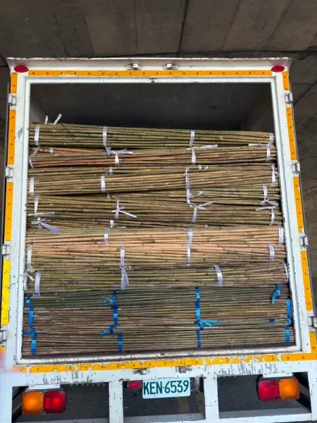 南投貨櫃