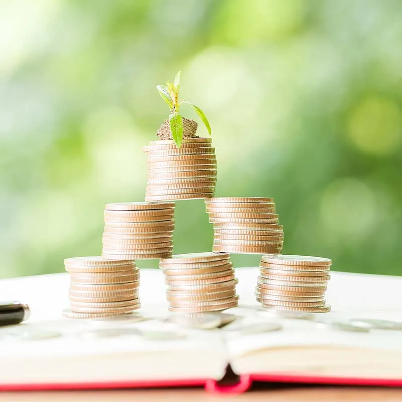 行號與公司，設立登記怎麼選？