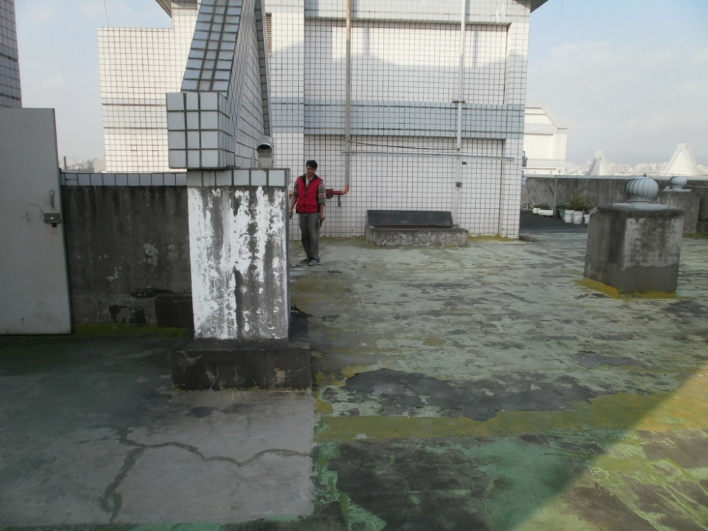 外牆拉皮整修工程