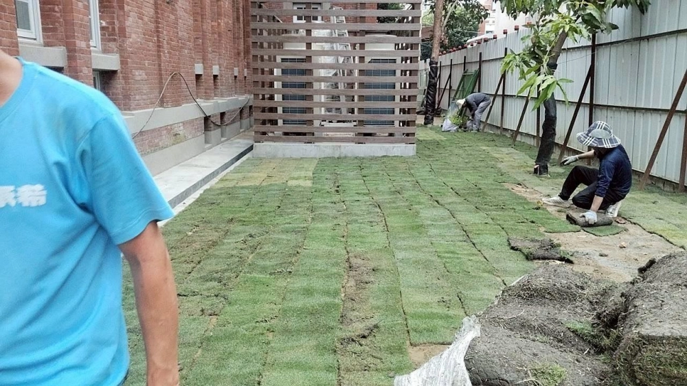 建興國中鋪草皮