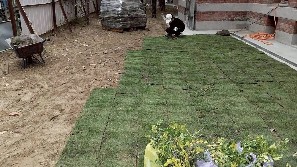 建興國中鋪草皮