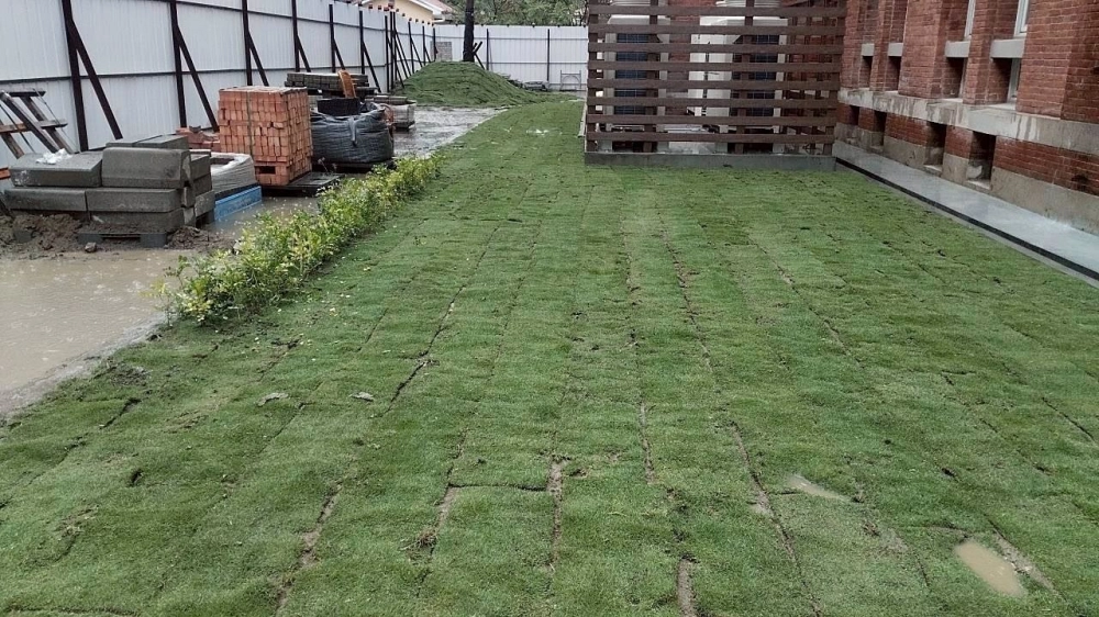 建興國中鋪草皮