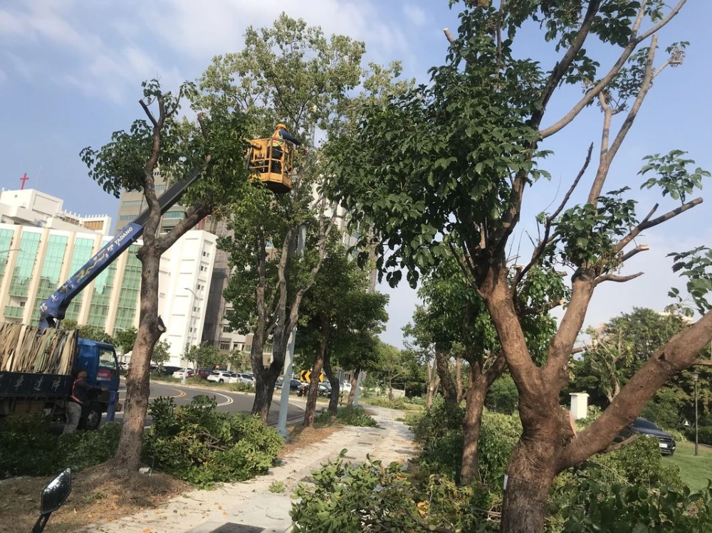 高空作業