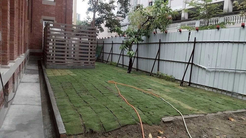 建興國中鋪草皮