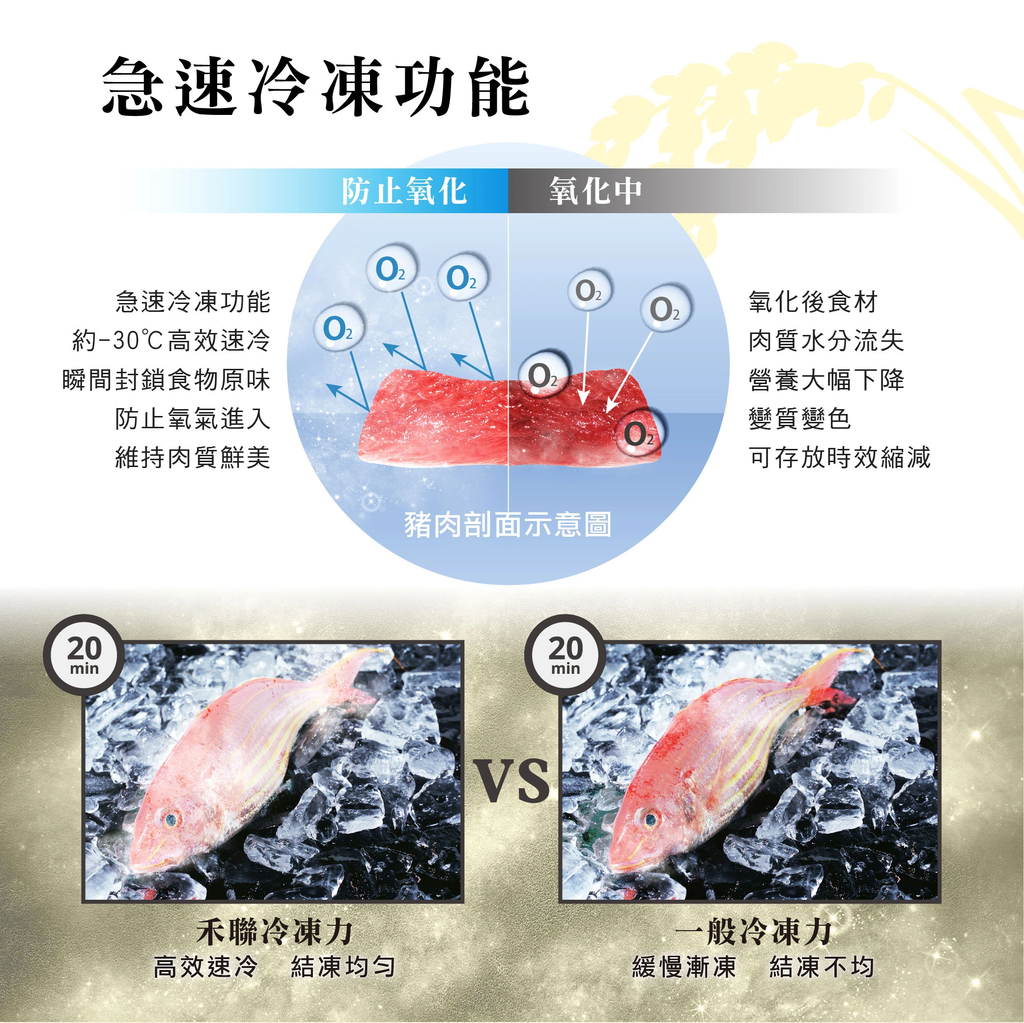 禾聯HRE-B4823V變頻雙門電冰箱485L