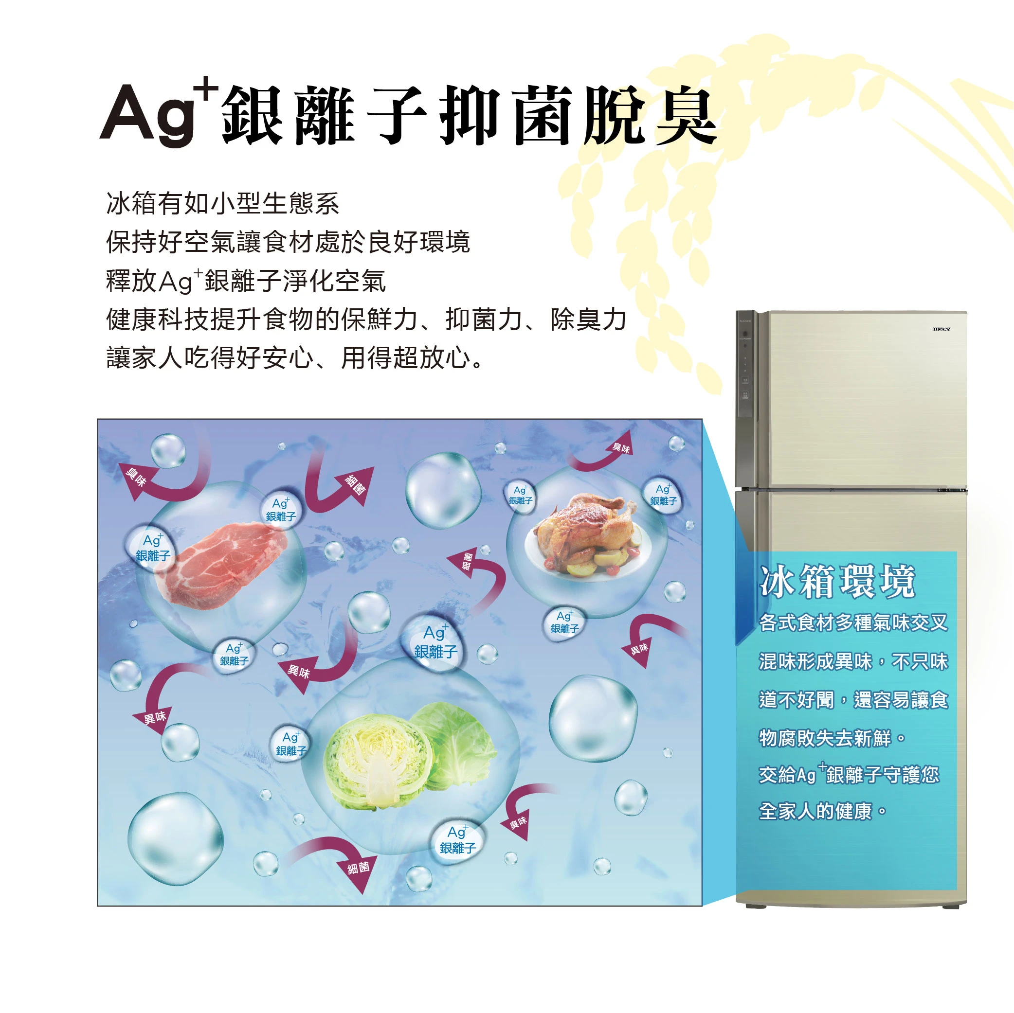 禾聯HRE-B4823V變頻雙門電冰箱485L