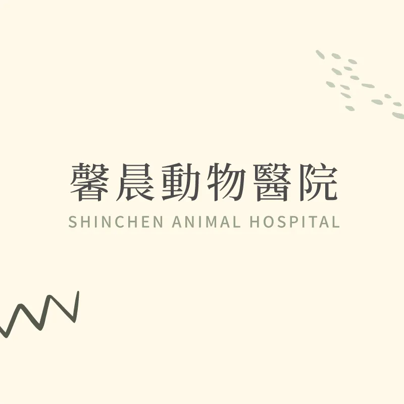 最新消息