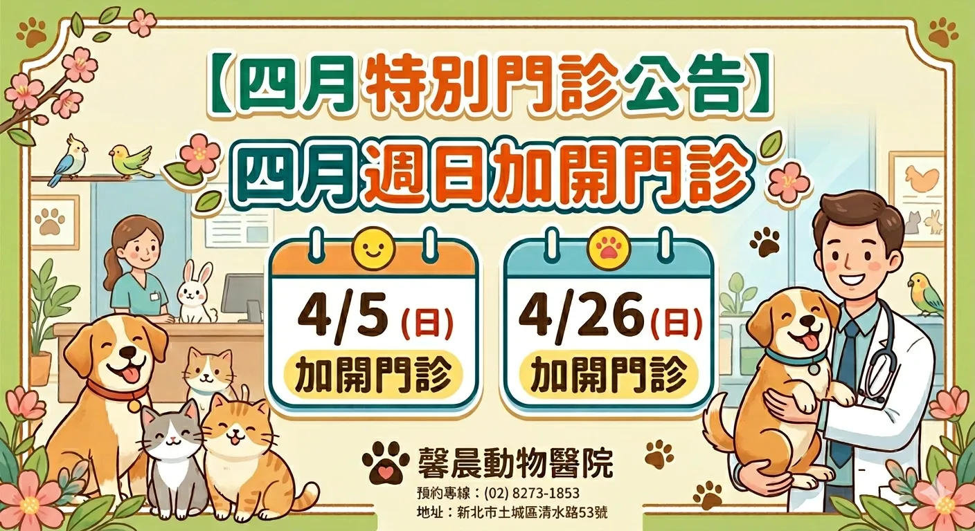 四月特別門診公告