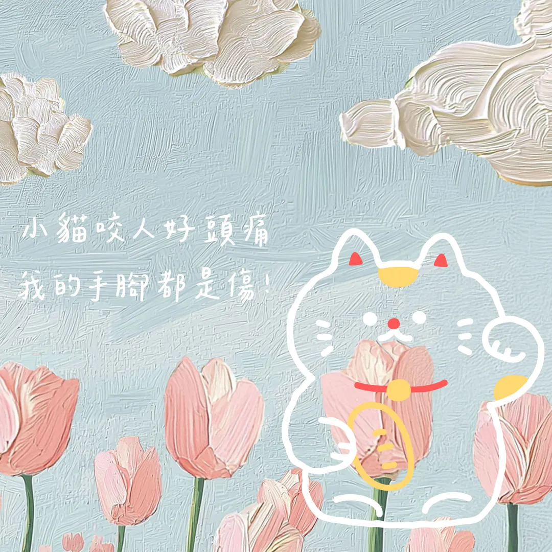 小貓亂咬人怎麼正向教導