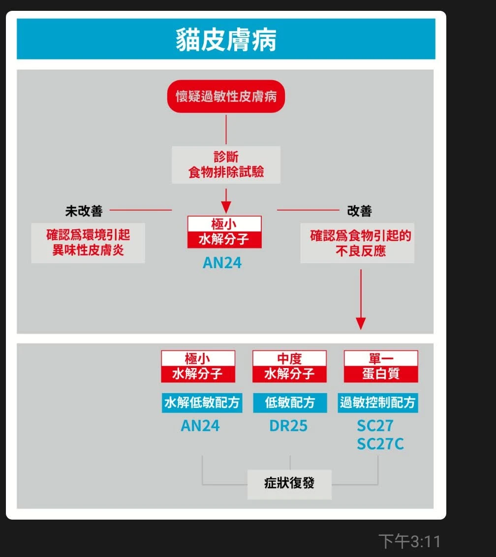貓皮膚飼料選擇
