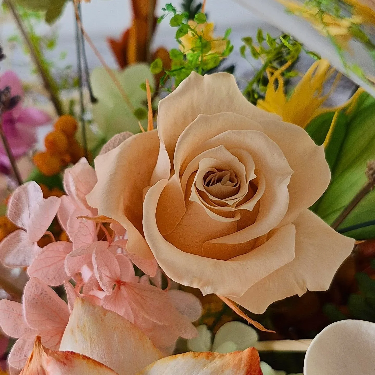 《新篇章》綻放的開始