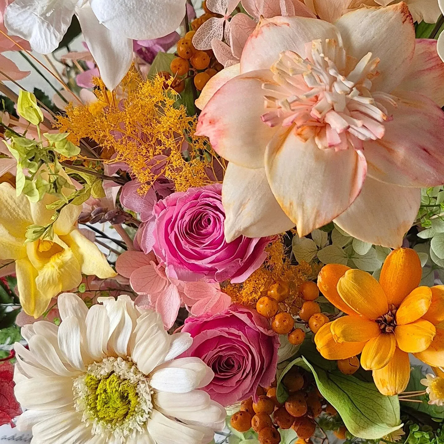 《新篇章》綻放的開始