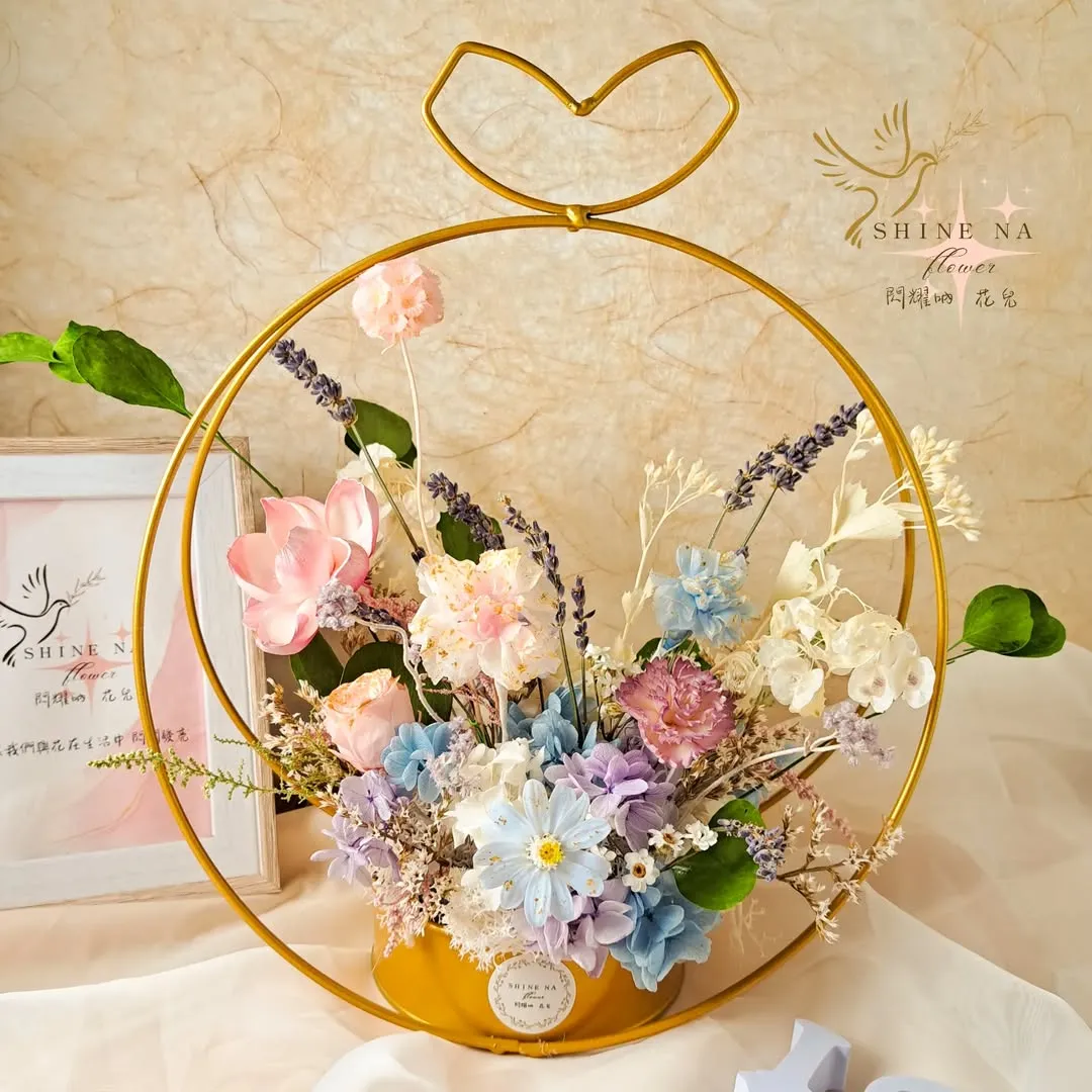 康乃馨金耀盆花