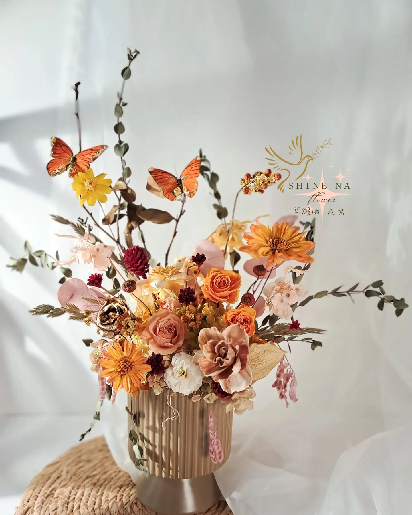 橙色陽光蝴蝶 盆花花禮