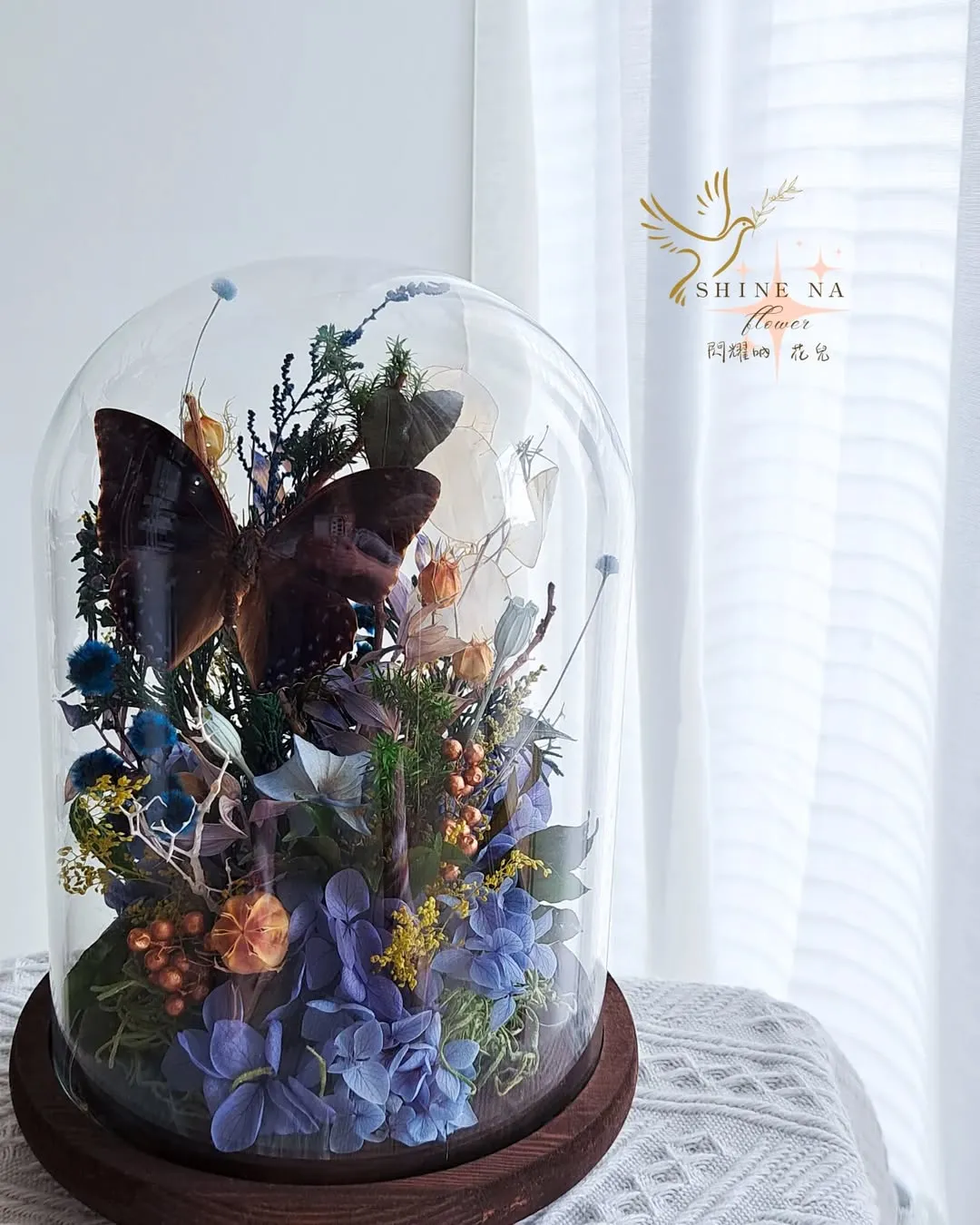 Betttfly 蝴蝶花盅(個人獨創作品）