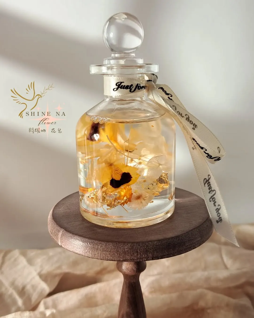 清新亮眼的美～流蘇石斛蘭客製款（浮游花）