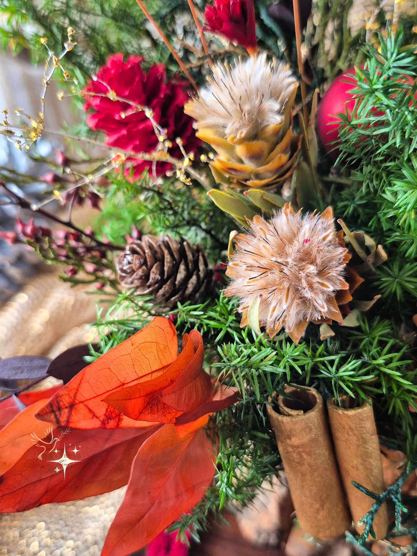 2025 冬曦金燭盆花