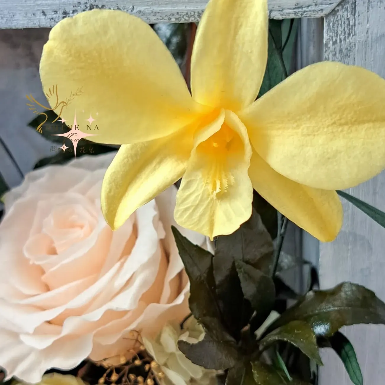 向陽（永生立體花盒）