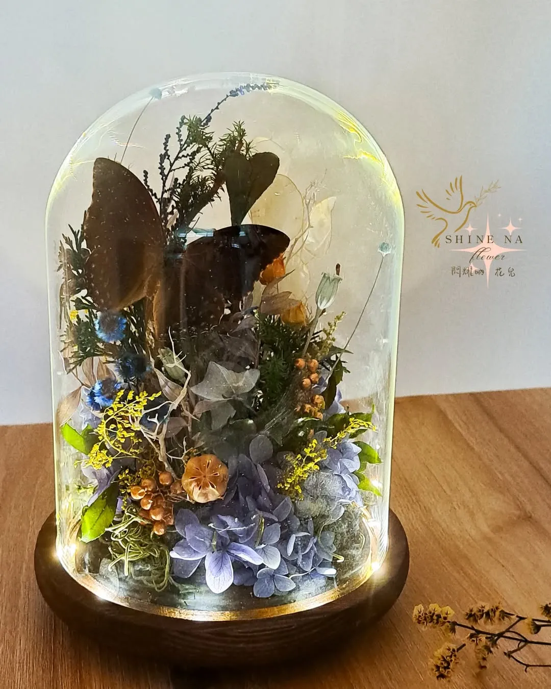 Betttfly 蝴蝶花盅(個人獨創作品）