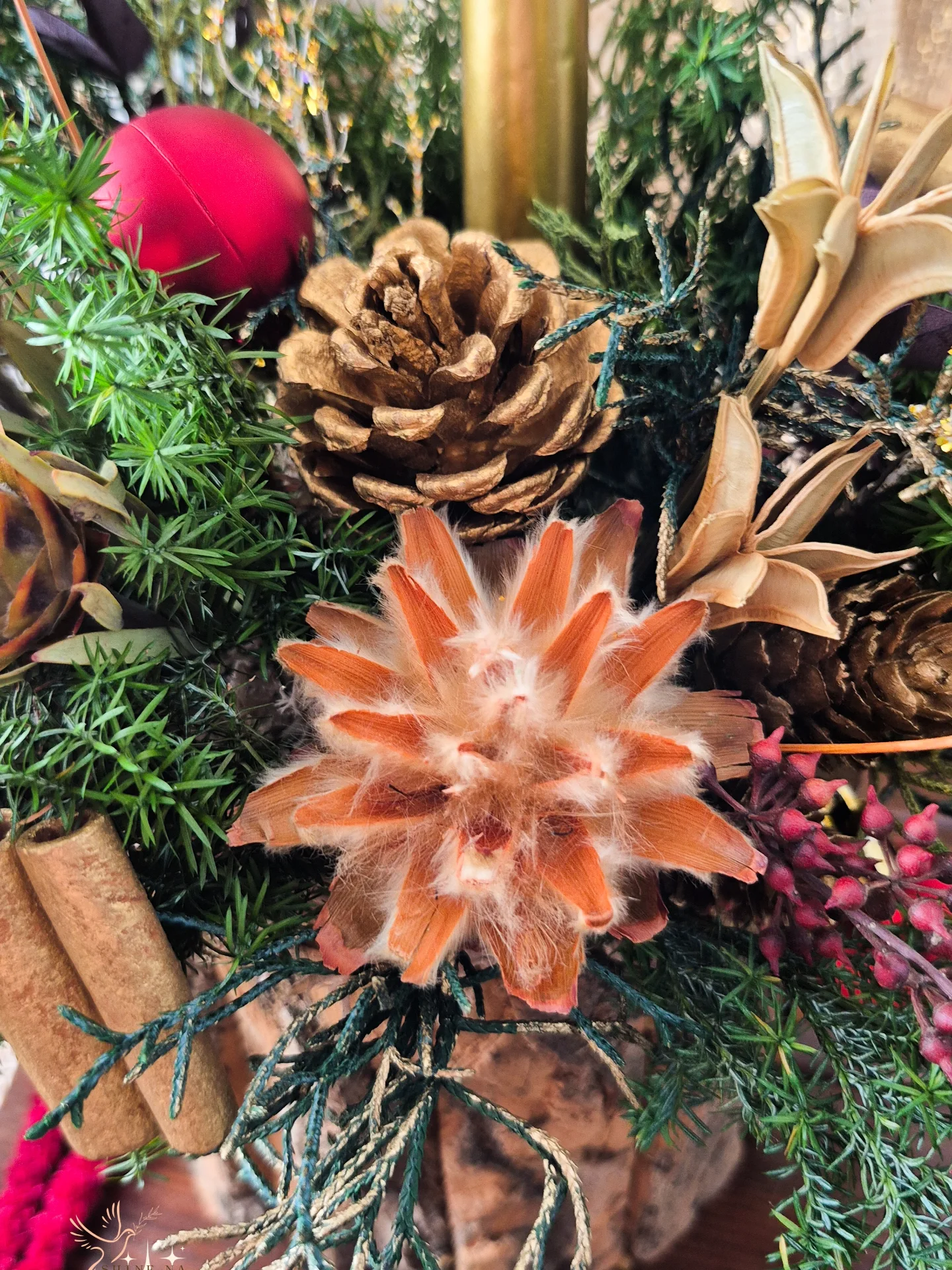 2025 冬曦金燭盆花