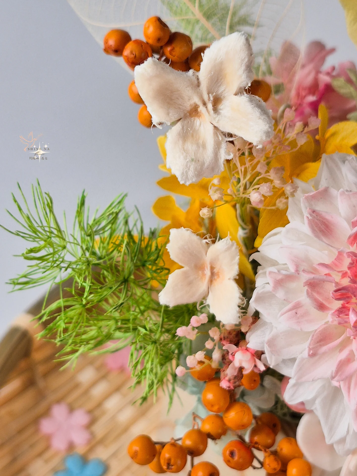 2026大理花新年盆花：花滿日常