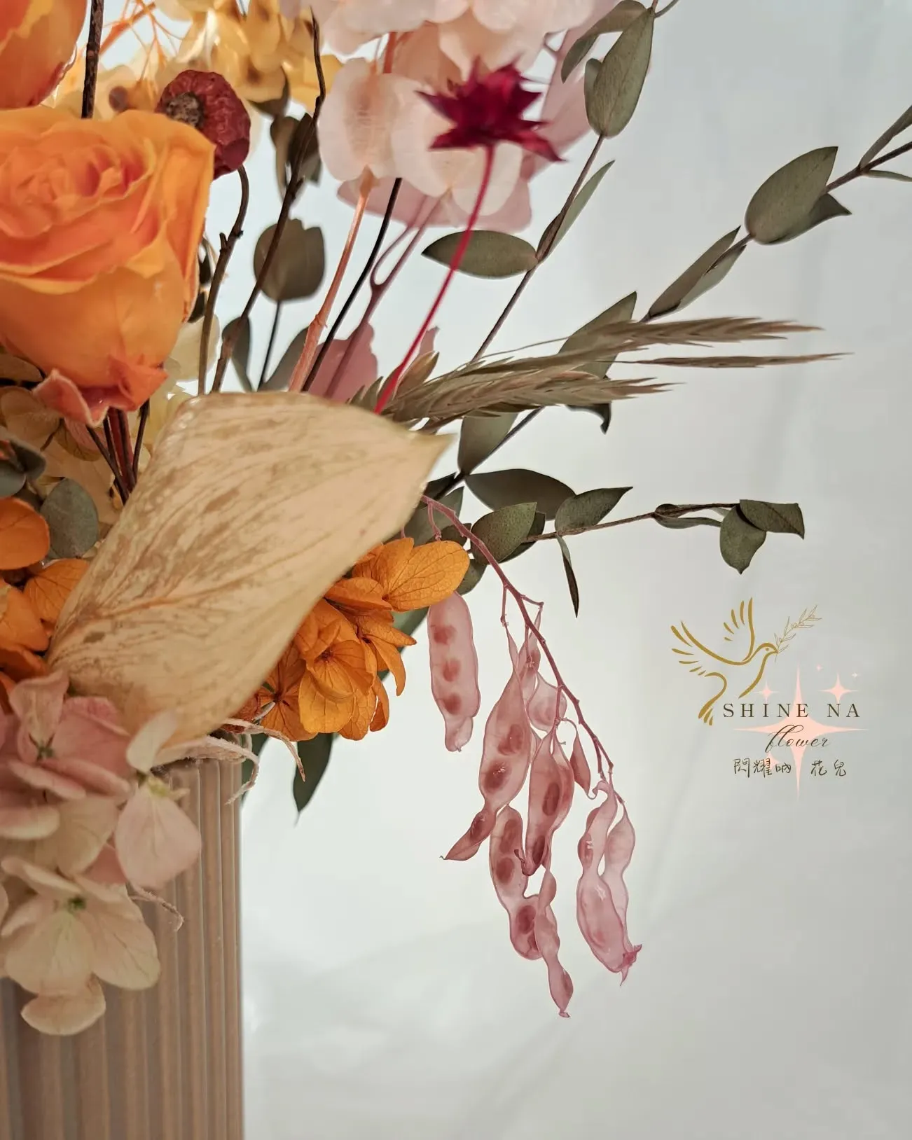 橙色陽光蝴蝶 盆花花禮