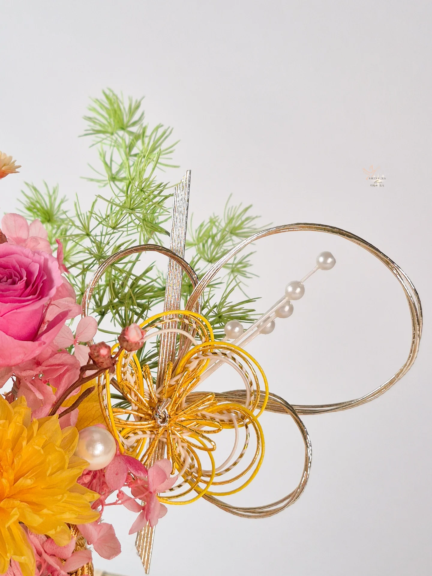 2026大理花新年盆花：花滿日常