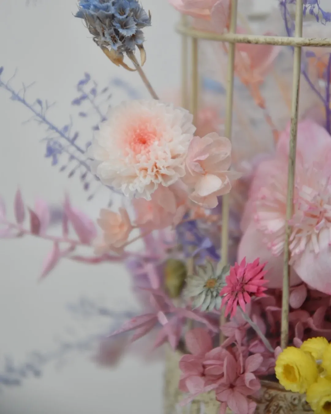 鳥籠花～講師作品展演
