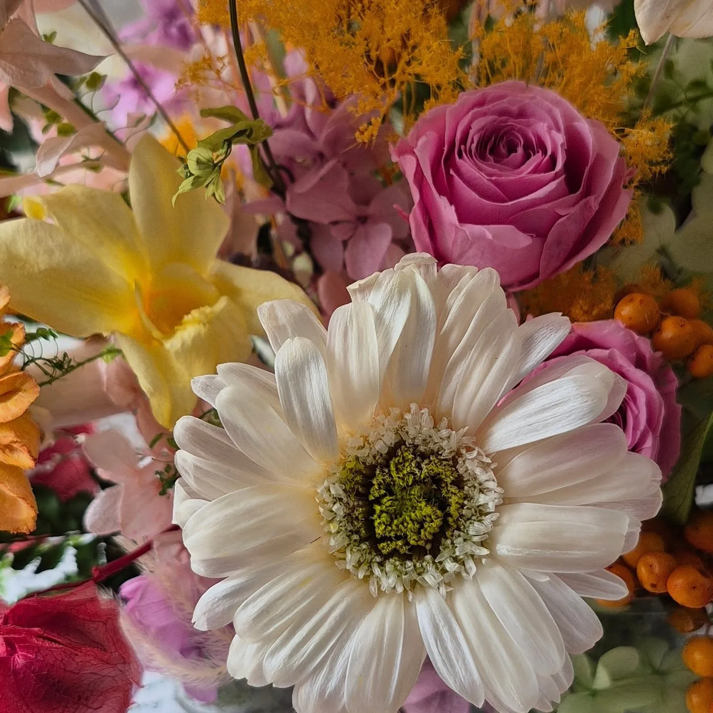 《新篇章》綻放的開始