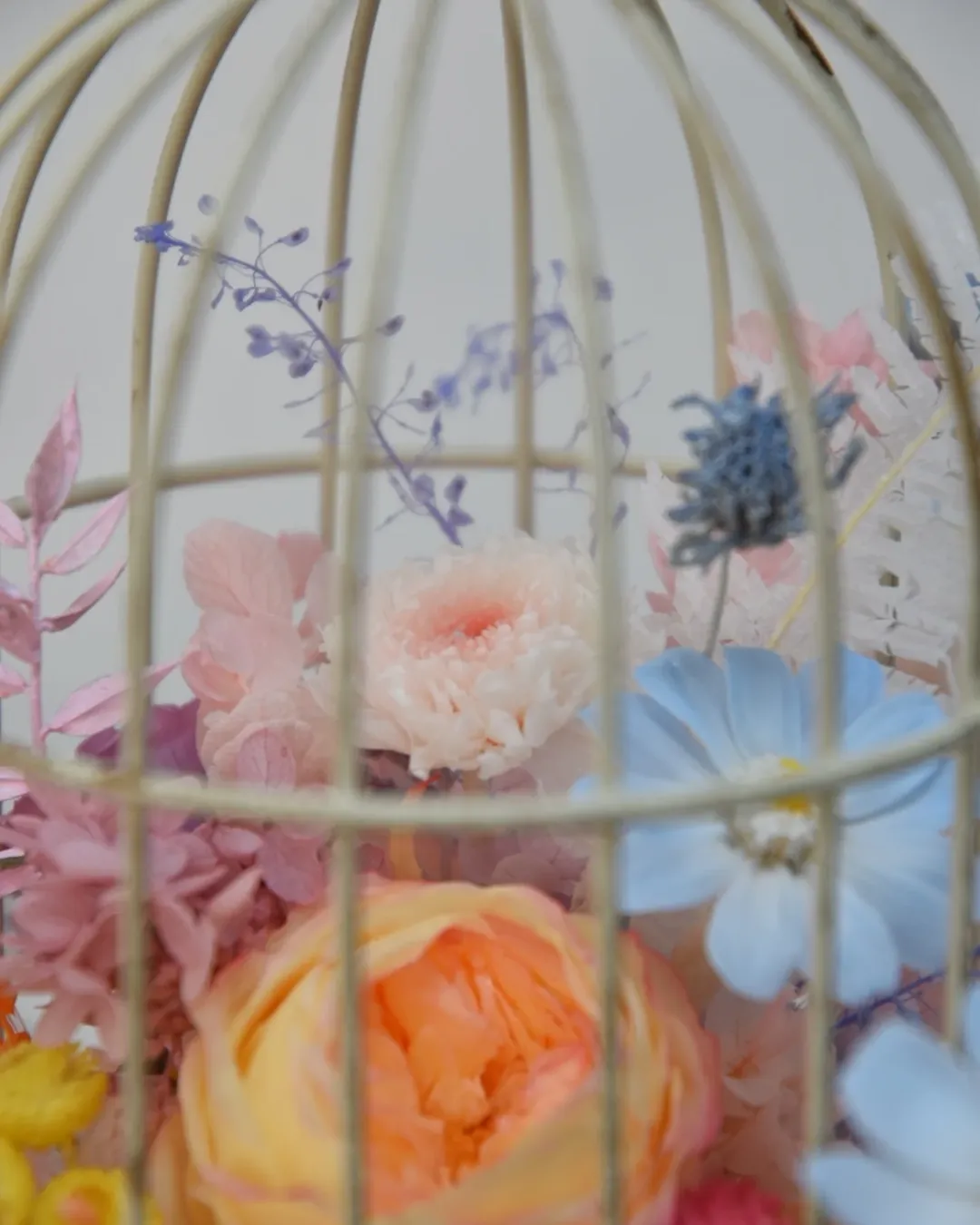 鳥籠花～講師作品展演
