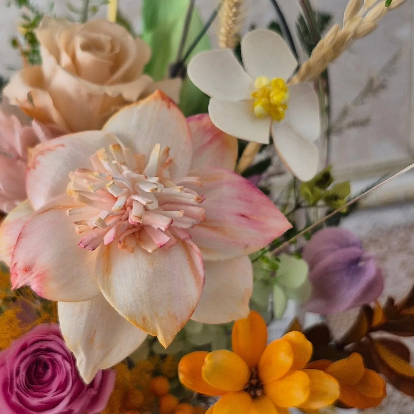 《新篇章》綻放的開始