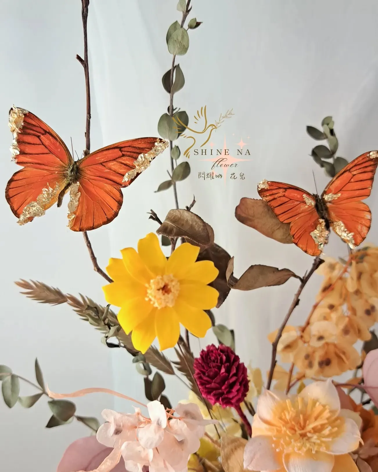 橙色陽光蝴蝶 盆花花禮