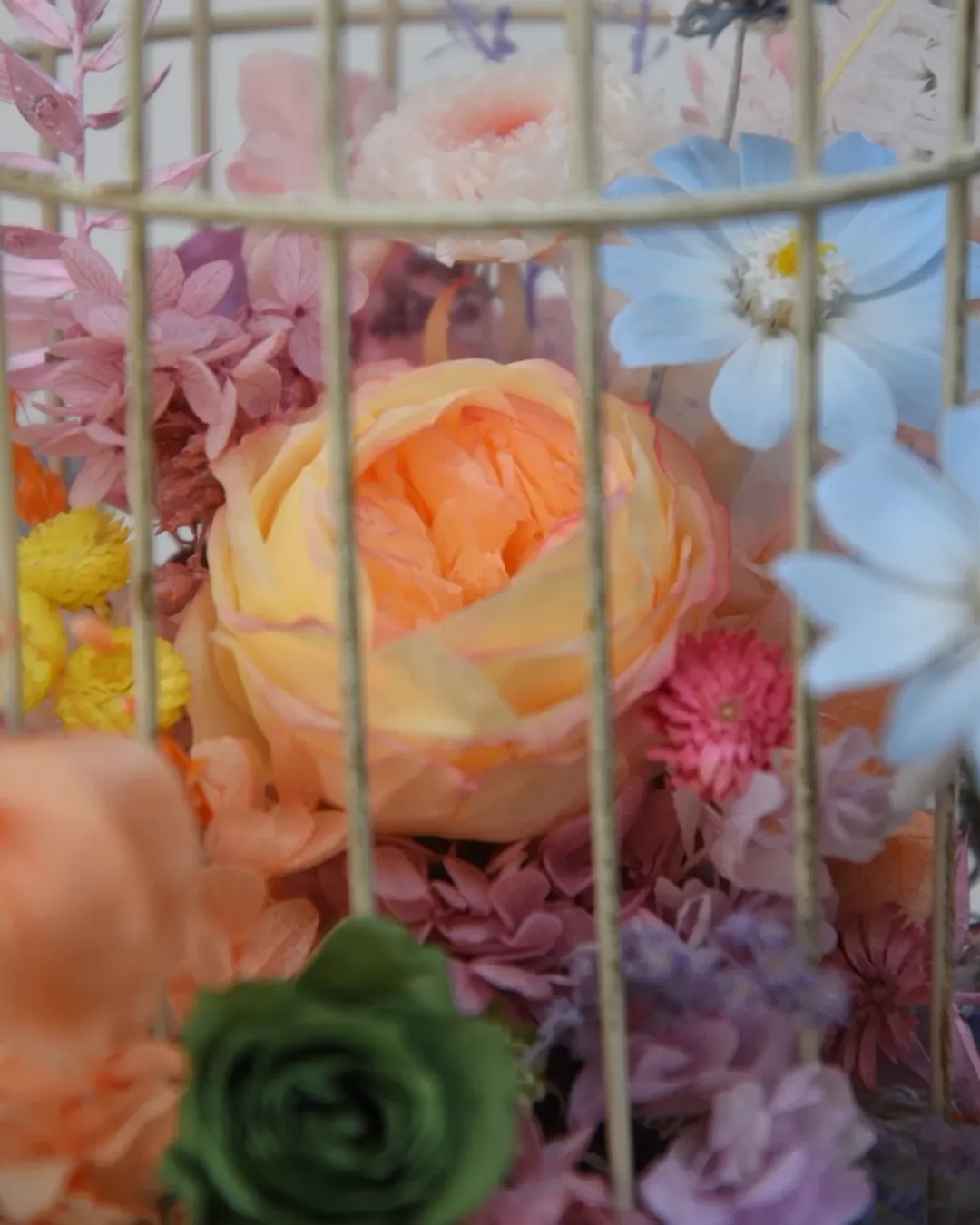 鳥籠花～講師作品展演