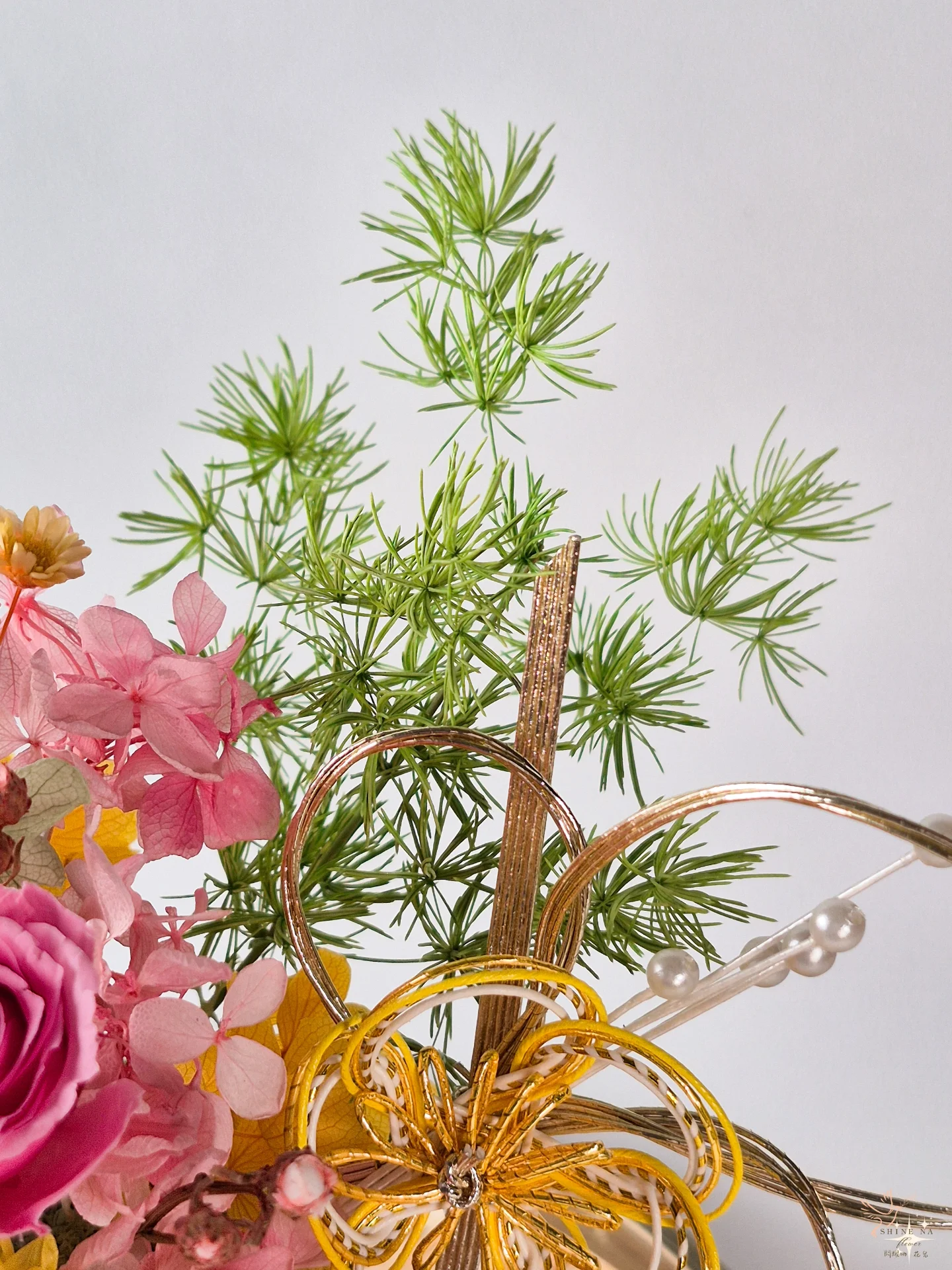 2026大理花新年盆花：花滿日常