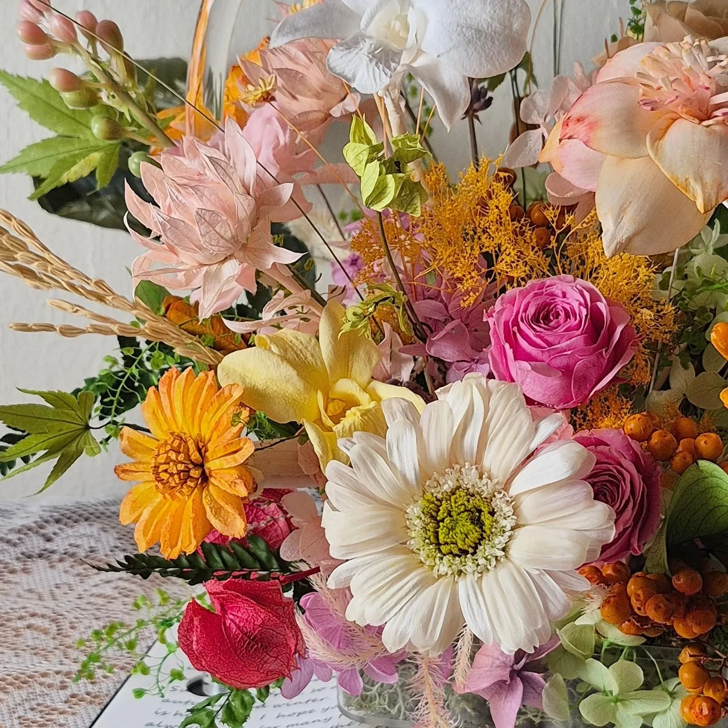 《新篇章》綻放的開始